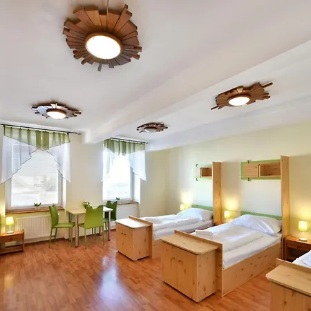 Vichrica Гостевой дом Велька-Ломница